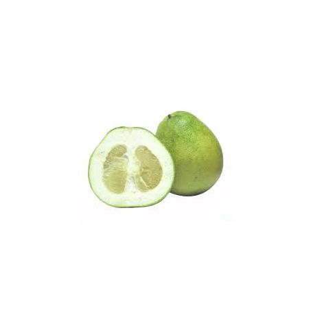 POMELO KG