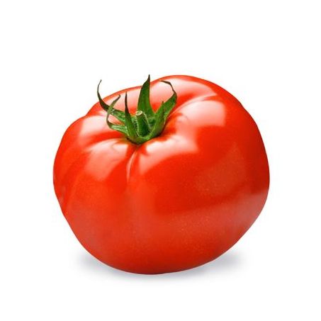 TOMATE LONGA VIDA KG
