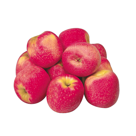 Maçã pink lady kg