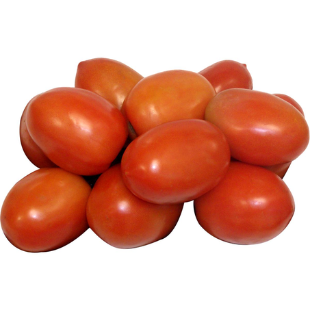 Tomate Italiano Kg