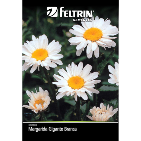 Semente Feltrin Margarida Gigante