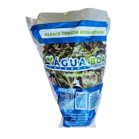 ALFACE HIDRO ROXA ÁGUA BOA UNIDADE