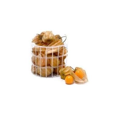 PHYSALIS BANDEJA