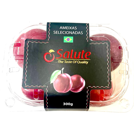 Ameixa Salute 300g