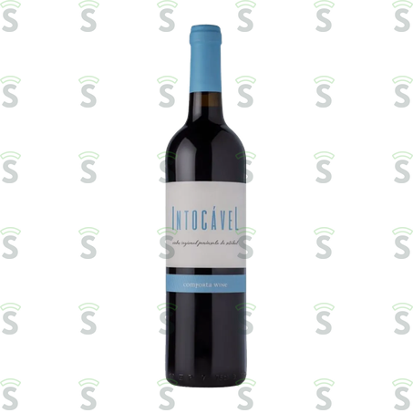  Vinho Fino de Mesa Tinto Meio Seco Intocável Garrafa 750ml
