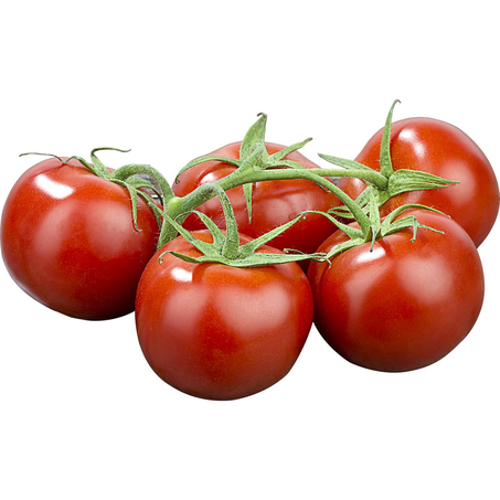 Tomate Fonte Verde Kg