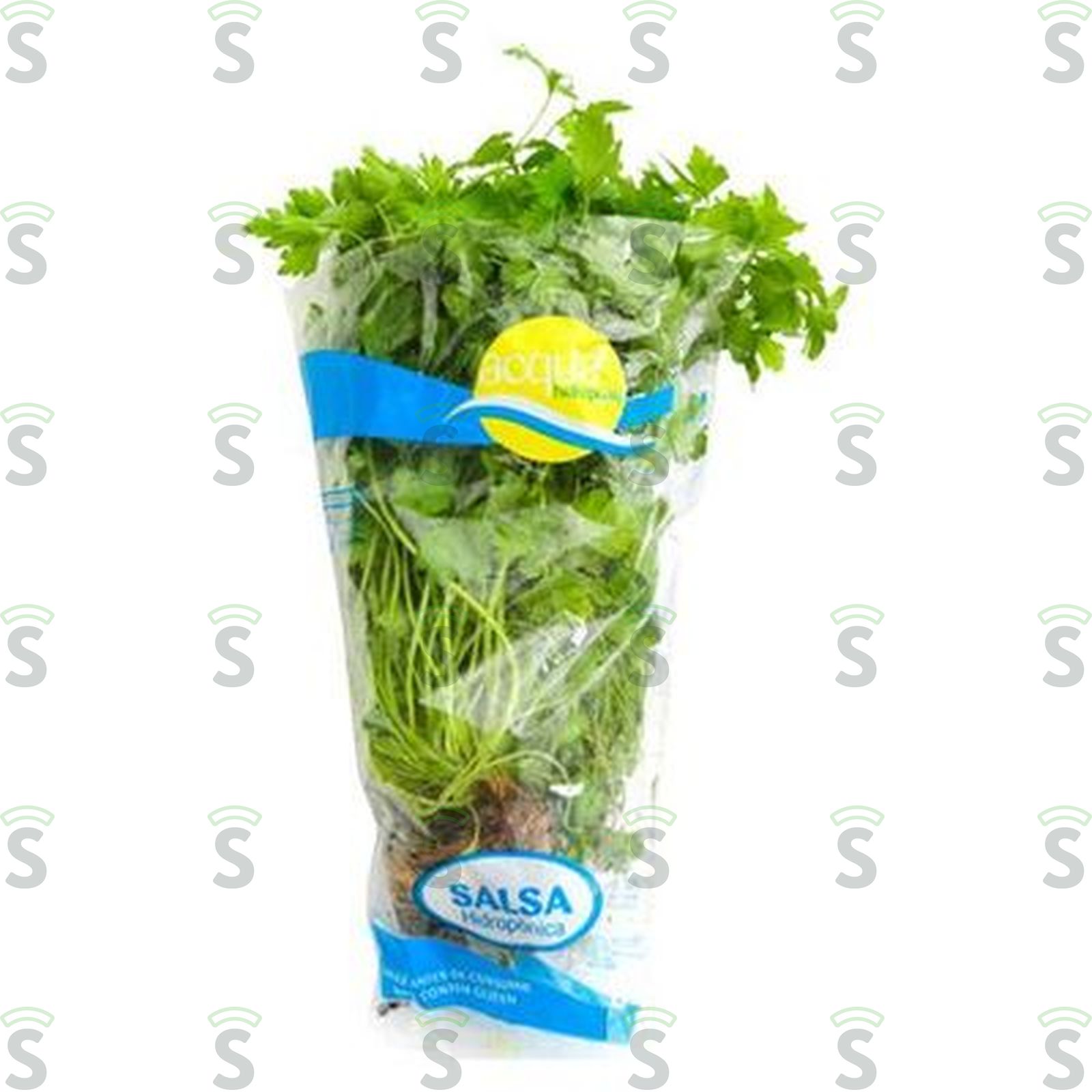 SALSA HIDROPONICA D AGUA