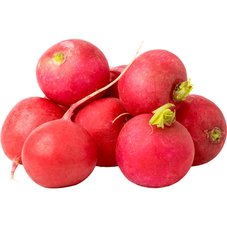 Rabanete