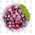 Frutas, Legumes e Vegetais