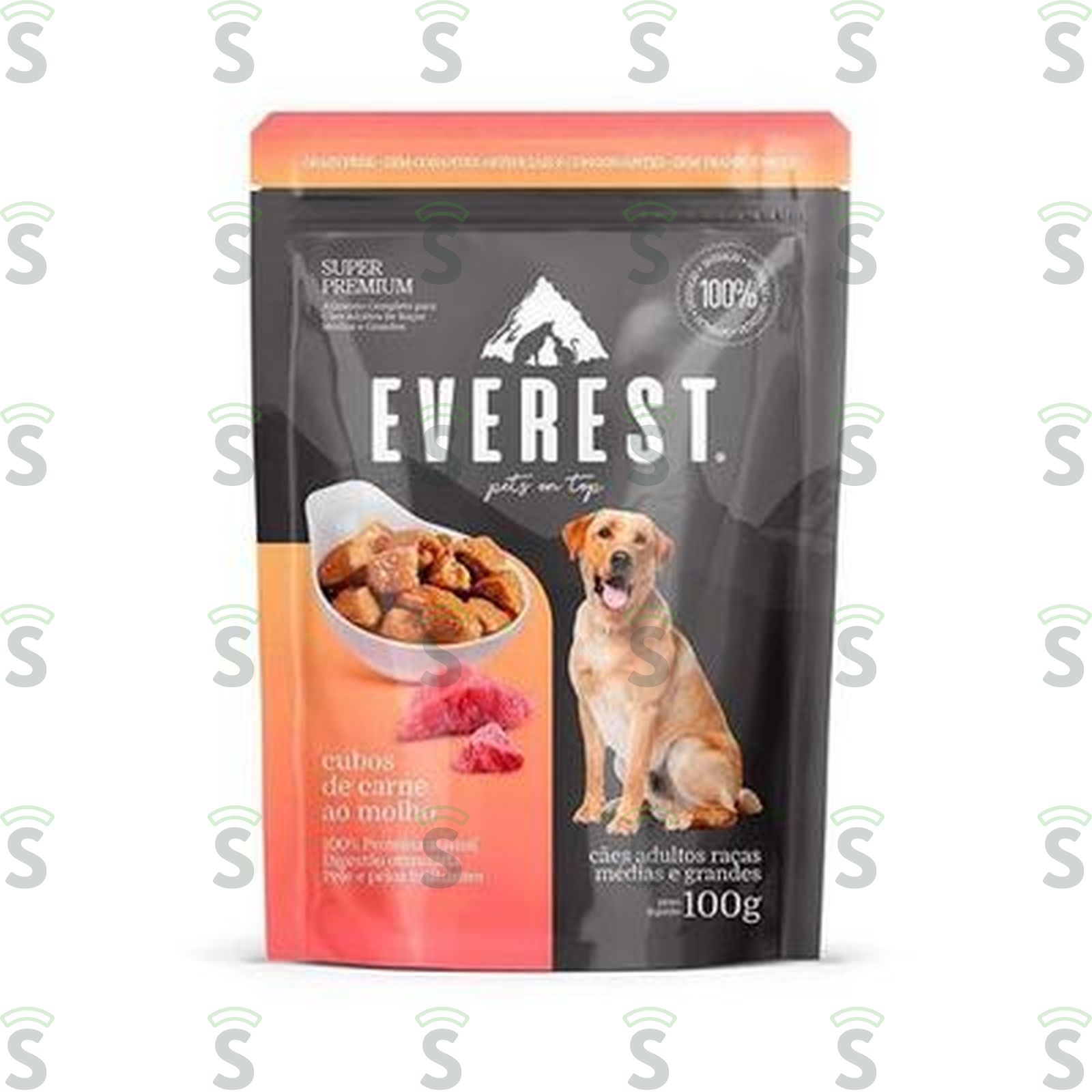 RACAO EVEREST DOG CNE MOLHO 100G