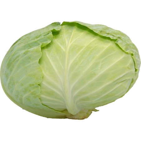 Repolho Verde Unidade