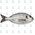 Peixes
