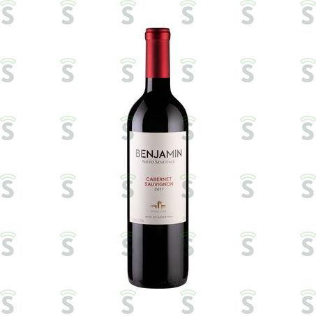  Vinho Tinto Argentino Benjamin Carbernet Sauvignon 750ml