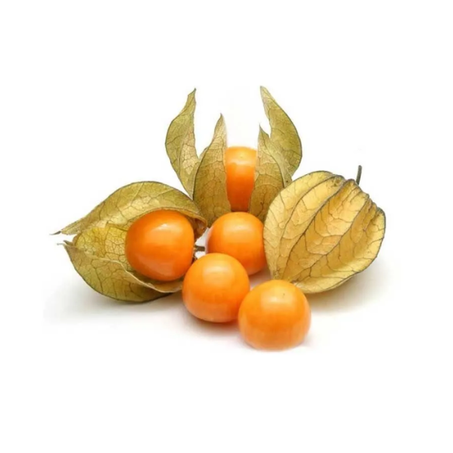 PHYSALIS 100G