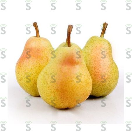  Pera Forelle Pct 1kg