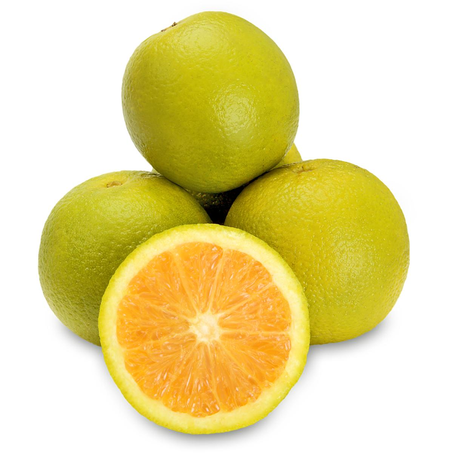Laranja-pera Kg