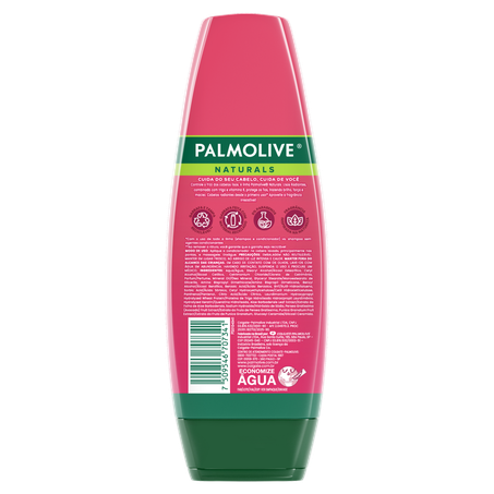Condicionador Palmolive Lisos Radiantes Frasco 315ml 
  360-1