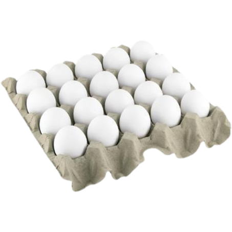 Ovos Macuco Branco Grande 20un 
 