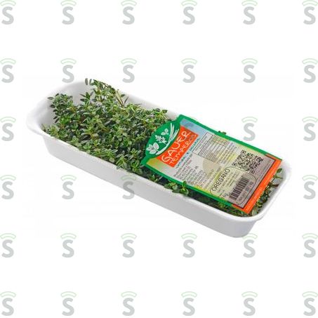  Oregano Gauer 16g Un