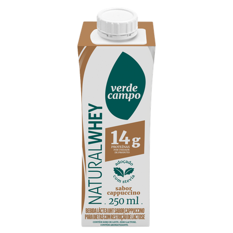 Bebida Láctea Verde Campo 14g Proteínas Zero Lactose Cappuccino Caixa 250ml 
 