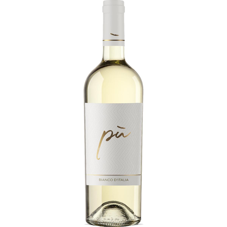 Vinho Italiano Piu 750ml - Branco
